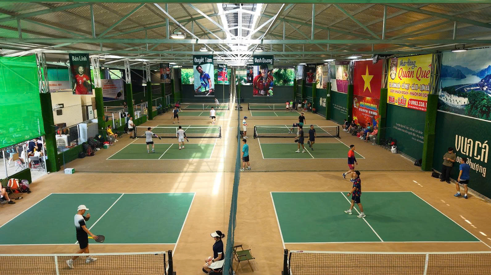 Luật chơi pickleball cơ bản cho người mới